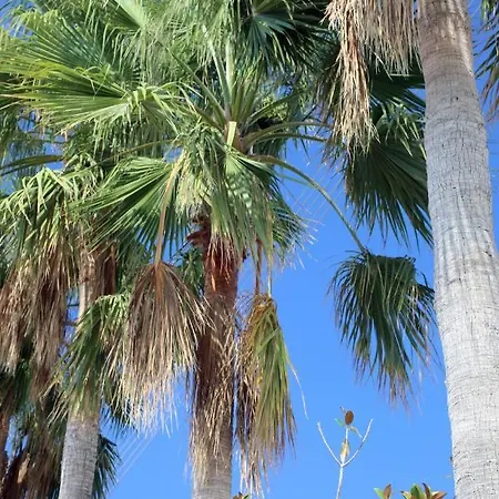 Villa Seafront 5 Bedroom Paradise In Sea Caves Peyia