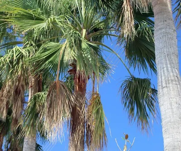 Villa Seafront 5 Bedroom Paradise In Sea Caves Peyia